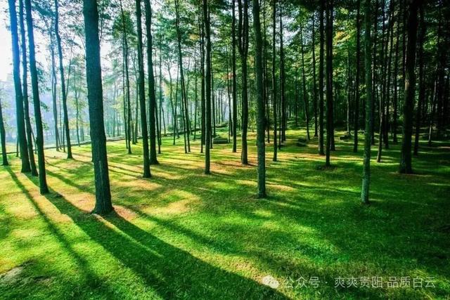 速来！白云区最美景点投票通道开启，pick你心中的景
