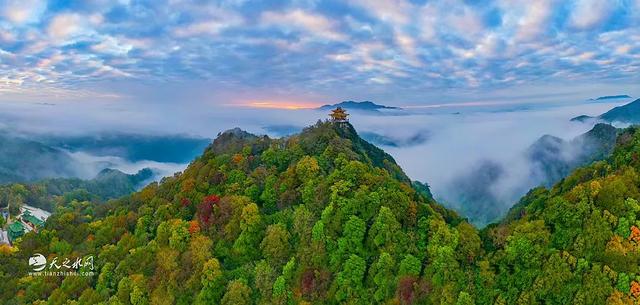 天水白音山：云海绘就水墨梦，诗意治愈尘世人！
