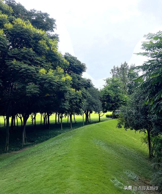 成都公园难得一见的旷野之景，画面超级唯美，地铁公交到达！