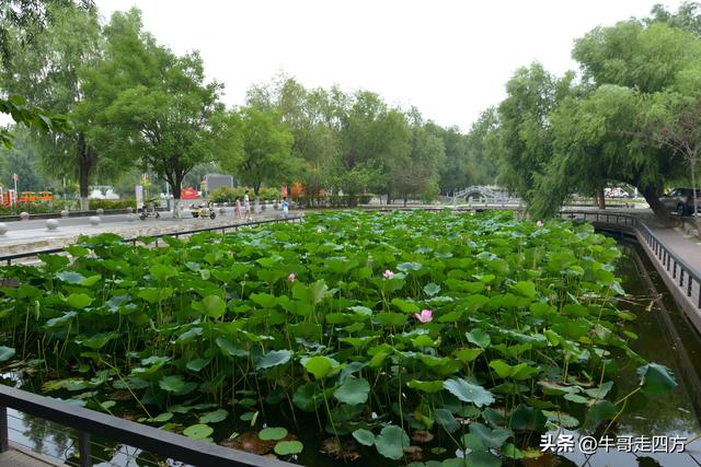 宝坻小辛码头：古渡辛埠藏雅韵，漕声千载忆根源