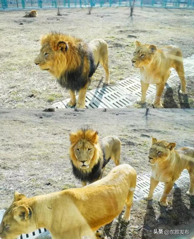 速来！半价特惠！