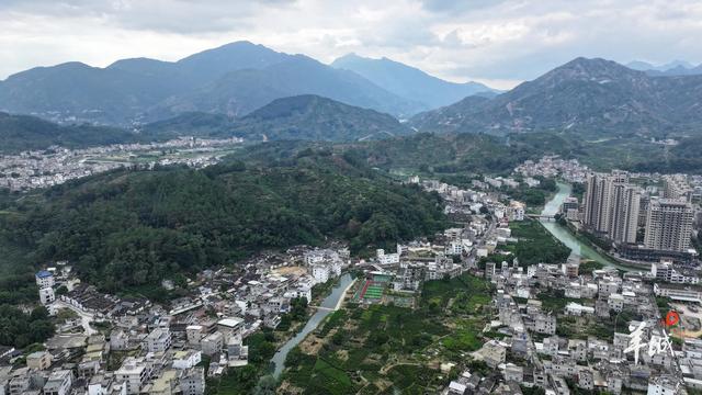 潮州潮安区东兴村：又见茶山 | 大美岭南·百村焕新记