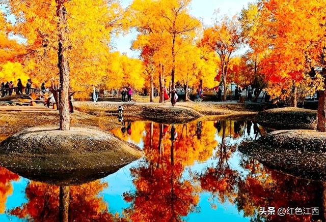 三千年的守望，赴一场大漠金辉之约