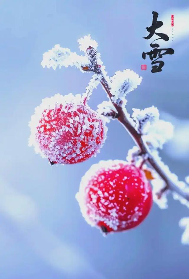 5点04分大雪	，老话“不怕大雪雪，最怕大雪晴”，大雪晴啥说法？
