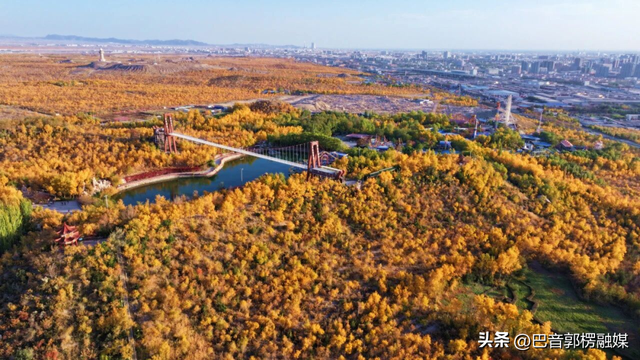 胡杨林的黄金时间来了，到巴州不只塔里木胡杨林公园，这些胡杨林，个个惊艳