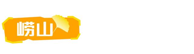 山东:时至初冬,银杏正当时