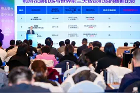 1秒分拣77件货物，花湖机场链博会上点亮“空中丝路”图片