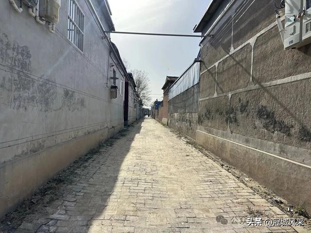 冠县乡韵·辛集镇饮马庄