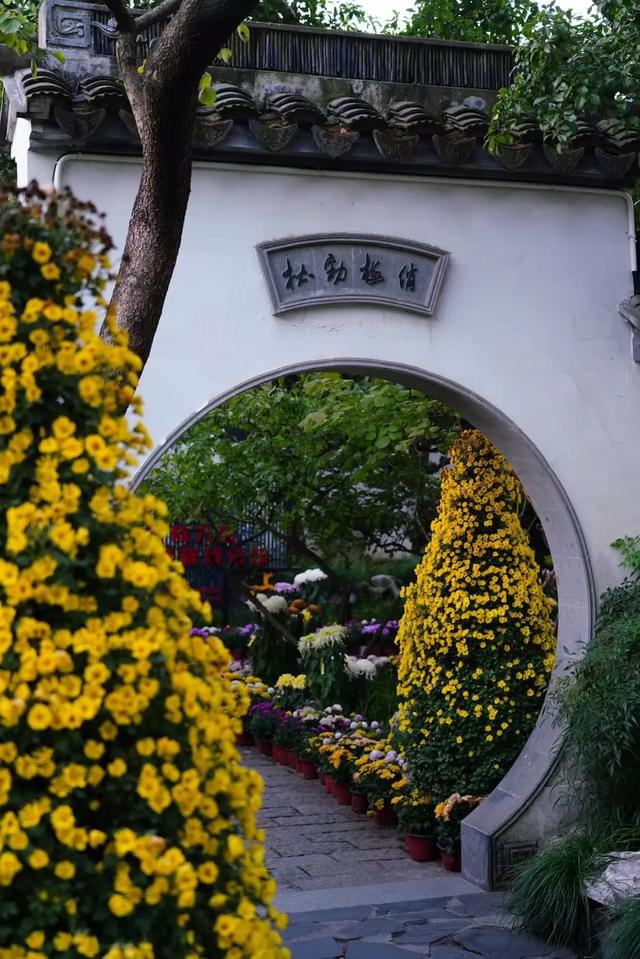 上海解锁“千园之城”,遛娃拍照吸氧圣地,哪个是你最爱?