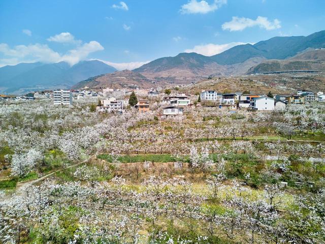 3月4月，10处绝佳踏春地，寻春踏青安排起来