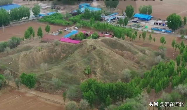 不争不抢，就悄悄火了！河北武邑，到底凭啥？