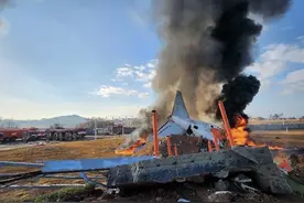 “我们无法降落”，韩国客机失事已致174人遇难！原因→图片