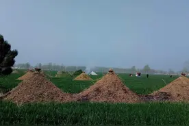 常上坟的人和不上坟的人，究竟有什么区别，不是迷信，是有道理地图片