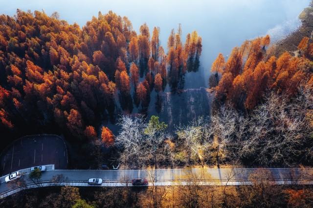 南京真糊涂啊！这十个堪比AAAAA级的景点！秋游很美赶快宣传吧！