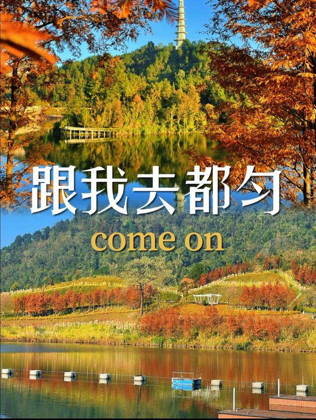 【初冬打卡指南】都匀绿博园“限定红杉雾镜”上线！