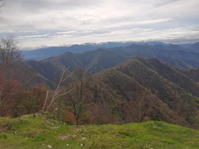迷失黄柏塬