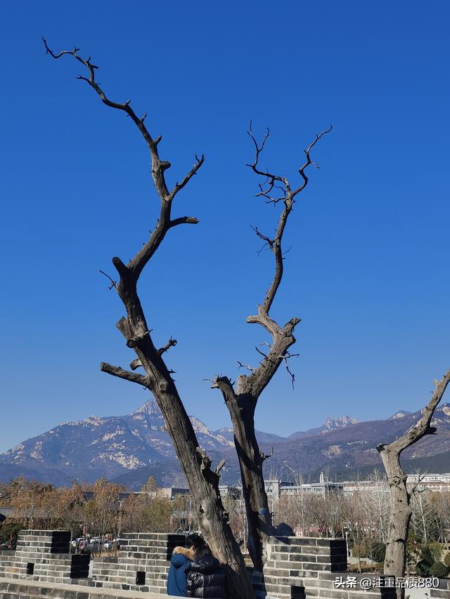 据我实际体验，冬天不宜自驾游