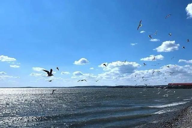 全国高温预警？快来呼伦贝尔开启19.5℃的夏天！