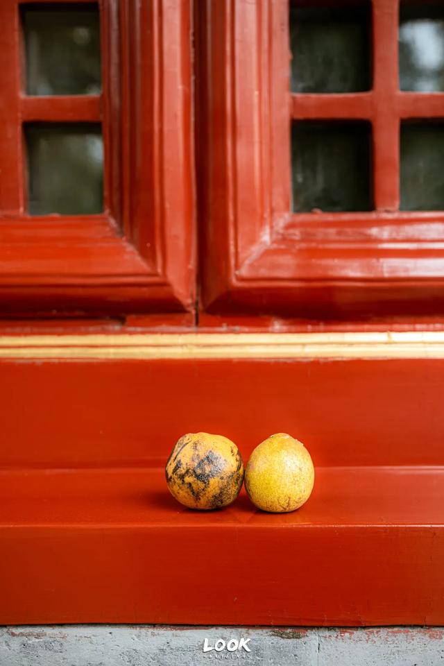 北京最新秋日打卡地 · 再看要等明年