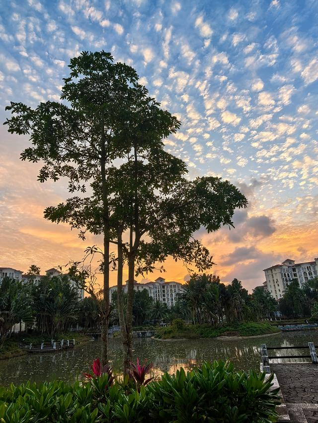 又回海南天来泉