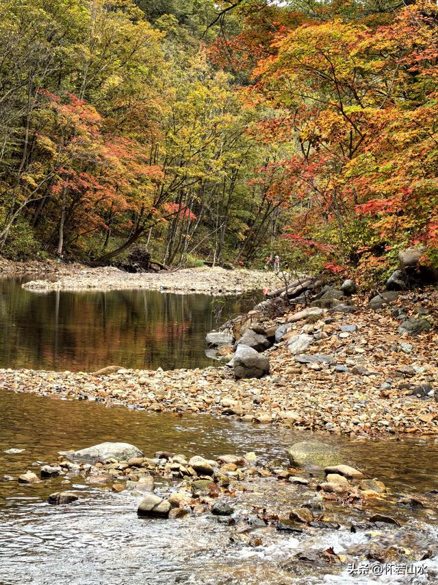 2025辽宁赏秋之旅日记(2)——游览丹东蒲石河森林公园