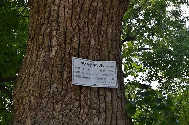 被人遗忘的苏州东村古村
