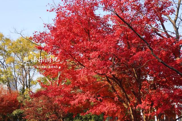 浙江宁波的绝美风景，犹如多彩的田园风情画，拍照与休闲都是一绝