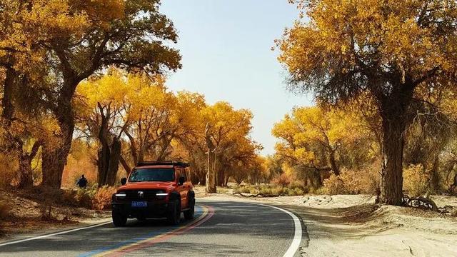 邢强 | 秋游南疆