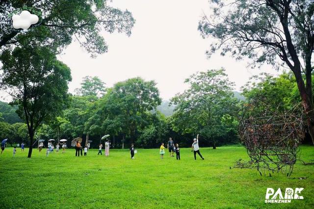 解锁公园的“N种打开方式”，一起来夏令营吧！