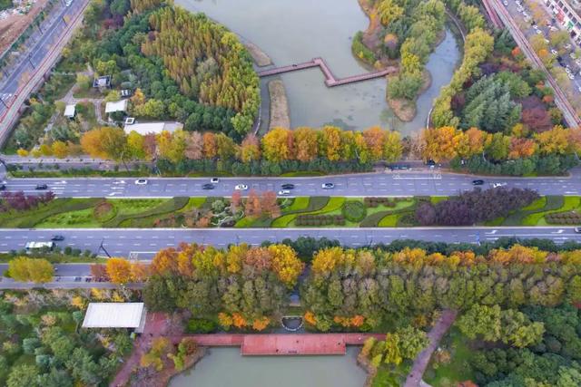 此刻，随手拍洛阳，美景如画！