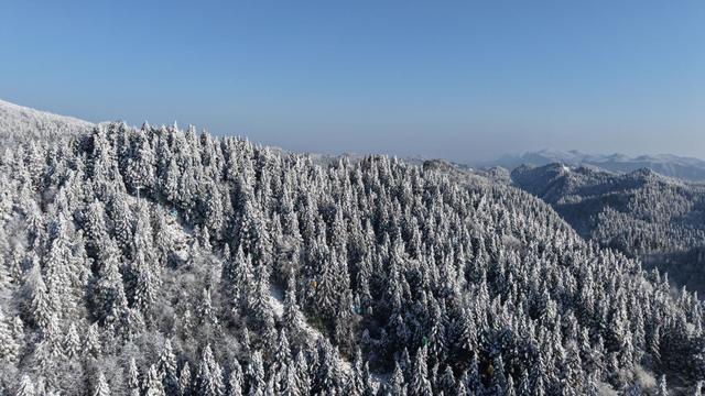 湖北恩施：雪后初霁 鄂西林海换银装