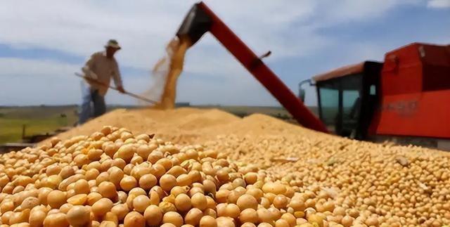 对华反制布局刚落定！高市早苗得意之时惊悉：中国在持续抛美债！