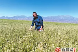 “石头地”里的培训课——把优质饲草料种植加工技术培训班“搬到”田间地头图片