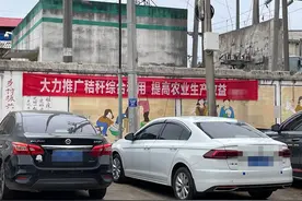 关于秸秆还田问题，专访山东枣庄思源家庭农场创始人——王延静图片