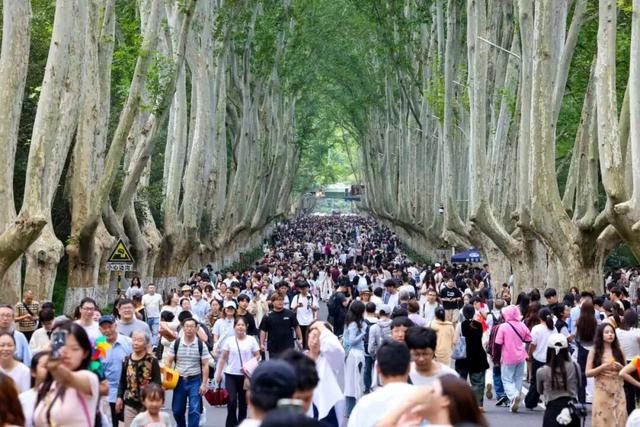 数据出炉！全国TOP10，南京排第一