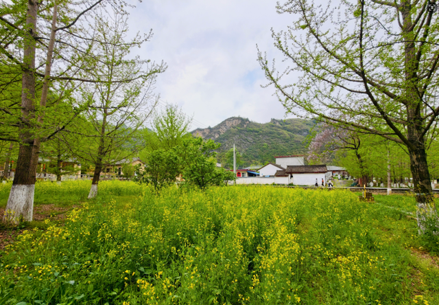 春满田河，古韵新生