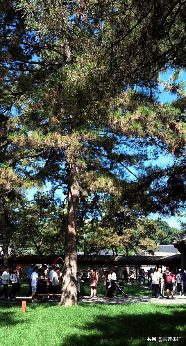 承德避暑山庄掠影