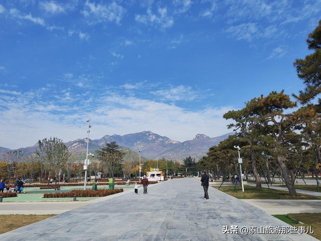 泰安：一个广场里的2个躺椅爆红网络，“抢位大战”让你“躺”赢