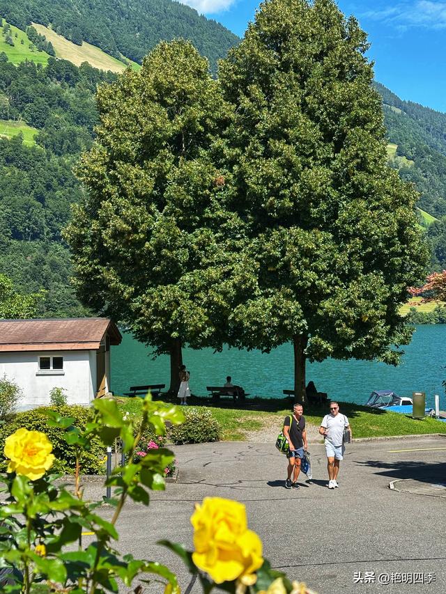 欧游杂记（4）‖ 从因特拉肯到卢塞恩，最大的惊喜是途中的龙疆