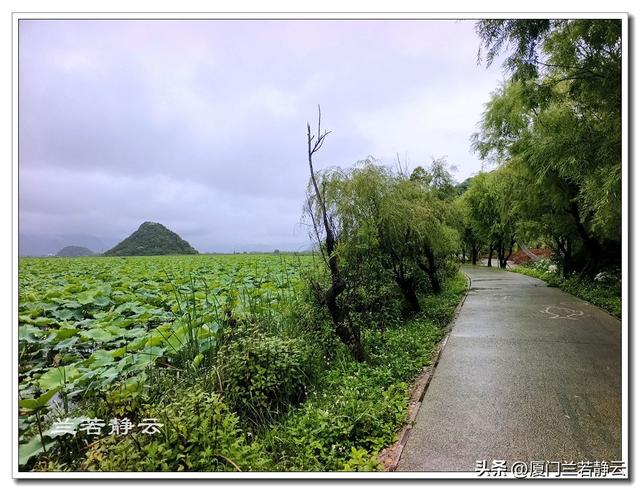 云南普者黑：自由行两日游