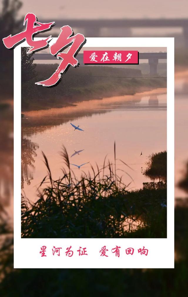 七夕遇温县，一眼即千年！