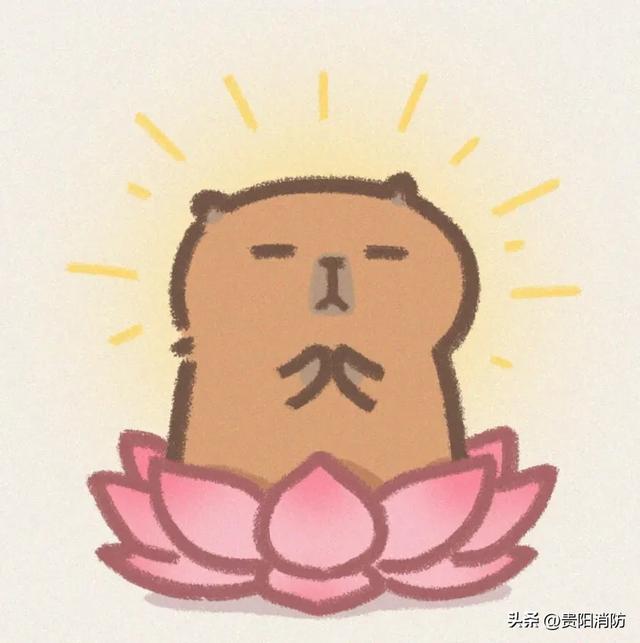 白云区云雾山:女子登山体力不支被困山顶,消防员绳索救援安全下山