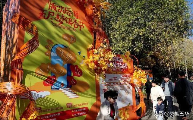 去版筑翠园，在“无尽梦银杏节”中打卡冬日休闲金色盛宴