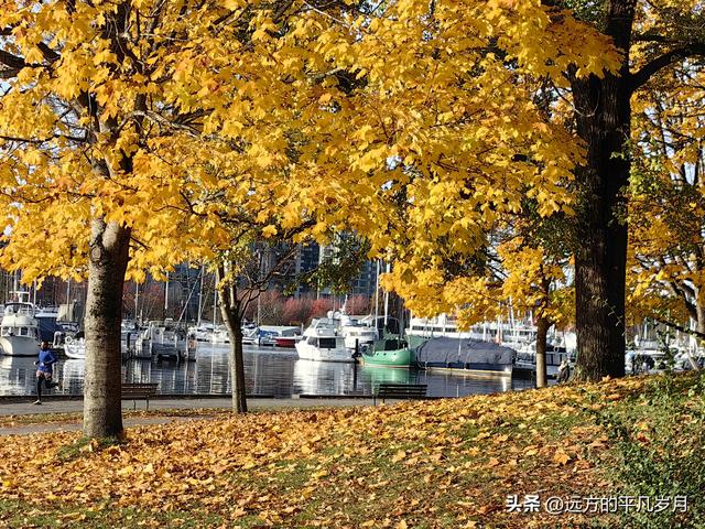 温哥华游记（四）
