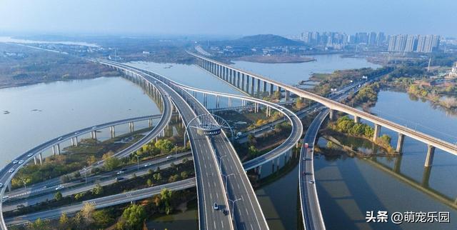 晨光轻抚江面，武汉苏醒时，我被这暖冬诗意震撼了