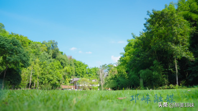 阿乌拉：林间亲子乐园，让家的温暖在自然里生长‌
