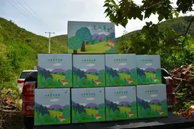 邯郸：“连凡苹果”响当当图片