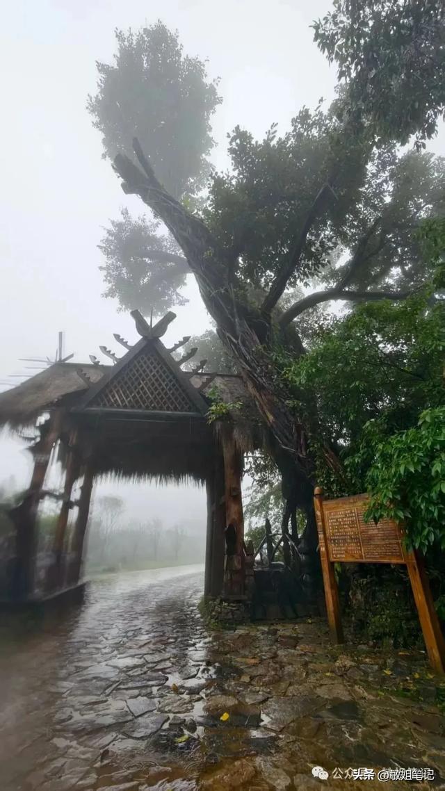 【滇行漫记之四】临沧:西南边陲秘境的诱惑