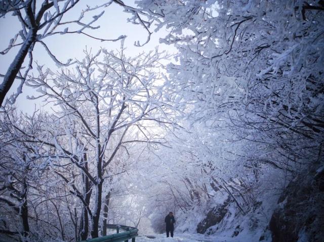 又来？这样的随州，你见没见过？