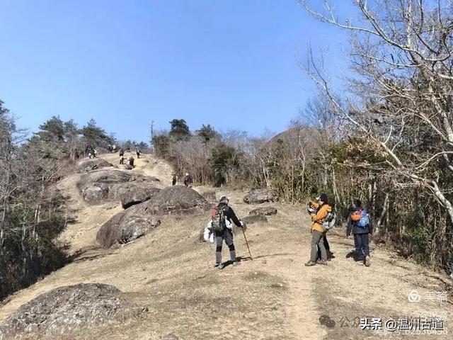 邂逅2026年的第一场醉美雾凇!温州四海山的雾凇美爆了!